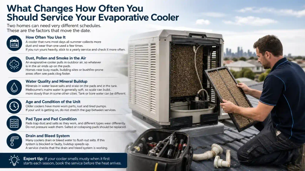 Infographic detailing factors that affect evaporative cooler service frequency with a technician replacing a cooling pad